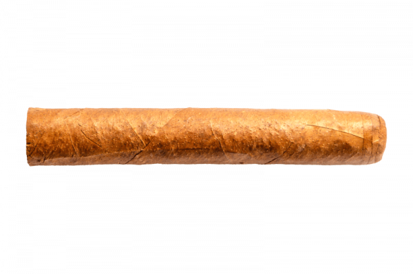 Hand Rolled Max Rogers